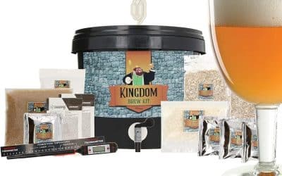 Test Brewferm Kingdom : brassez facilement votre Tripel belge chez vous