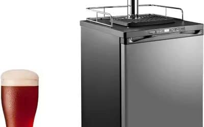 Test complet : kit brassage auto 170L, bière fraîche 30 jours