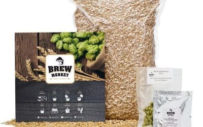Test Brew Monkey : brassage Bière Blonde 5L & Kit Maison