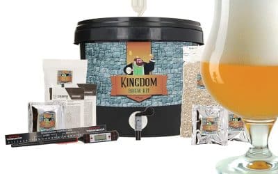 Test Brewferm Kingdom : kit brassage bière forte blonde 5L