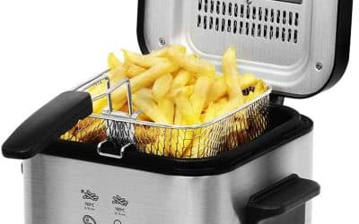 Test Cecotec CleanFry Infinity 1500: friteuse Électrique Compacte et Performante