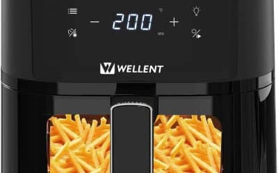 Test Friteuse Air Fryer Wellent 4.3L : cuisson Saine et Pratique
