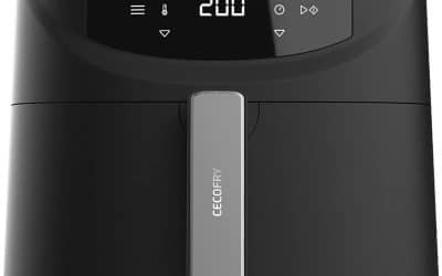 Test de la friteuse Cecotec Cecofry Absolute 7600 : cuisson parfaite sans huile