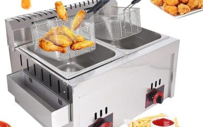 Test de la friteuse double à gaz 20L