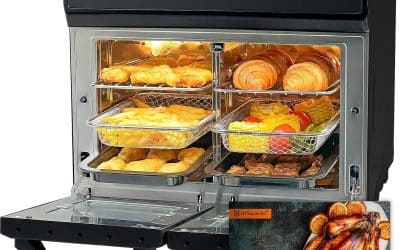 Test de la HYSapientia Dual Zone Air Fryer : friteuse à air chaud polyvalente