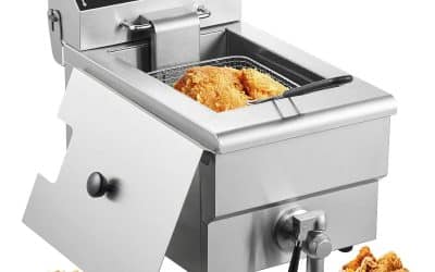 Test : friteuse VEVOR 3000 W, 9 L pour restaurants