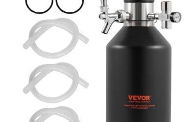 Test : tireuse à bière portable VEVOR 4 L, pression réglable pour camping