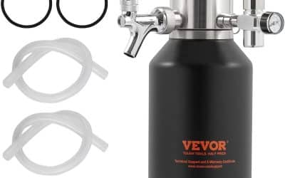 Test Vevor tireuse à bière portable 1, 89 L mini growler inox