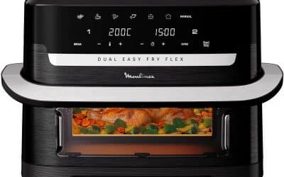 Test de la Moulinex Easy Fry Dual Flex : puissance et polyvalence