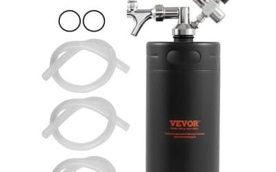 Test du système VEVOR : mini fût de 4 L en acier inoxydable pour bière artisanale