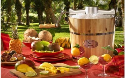 Test : sorbetière électrique GIVRETO de Vente-unique 3, 5 L en bois