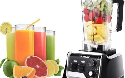 Test : blender professionnel Comptoir 2200W pour smoothies