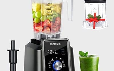Test du mixeur BioloMix 2200W : performance et intelligence