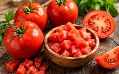 Recette facile de tomates à congeler